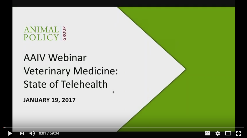 A Telehealth Roadmap for the Veterinary Profession webinar thumbnail A Telehealth Roadmap for the Veterinary Profession webinar thumbnail