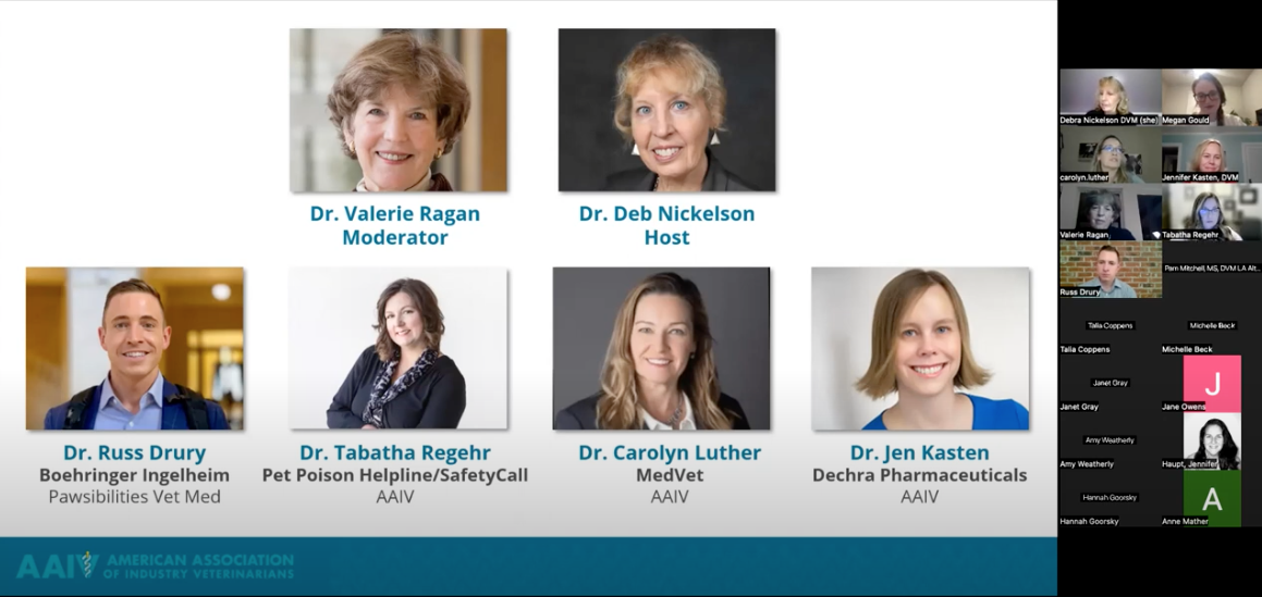 Career Transition Roundtable
