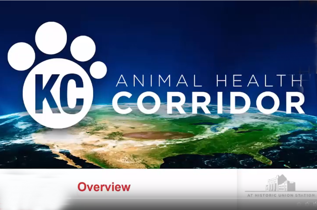 KC animal health corridor KC animal health corridor webinar thumbnail
