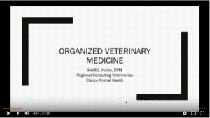 ORGANized Veterinary Medicine: The Eyes, Ears and Heart of the Profession Webinar Recording Thumbnail